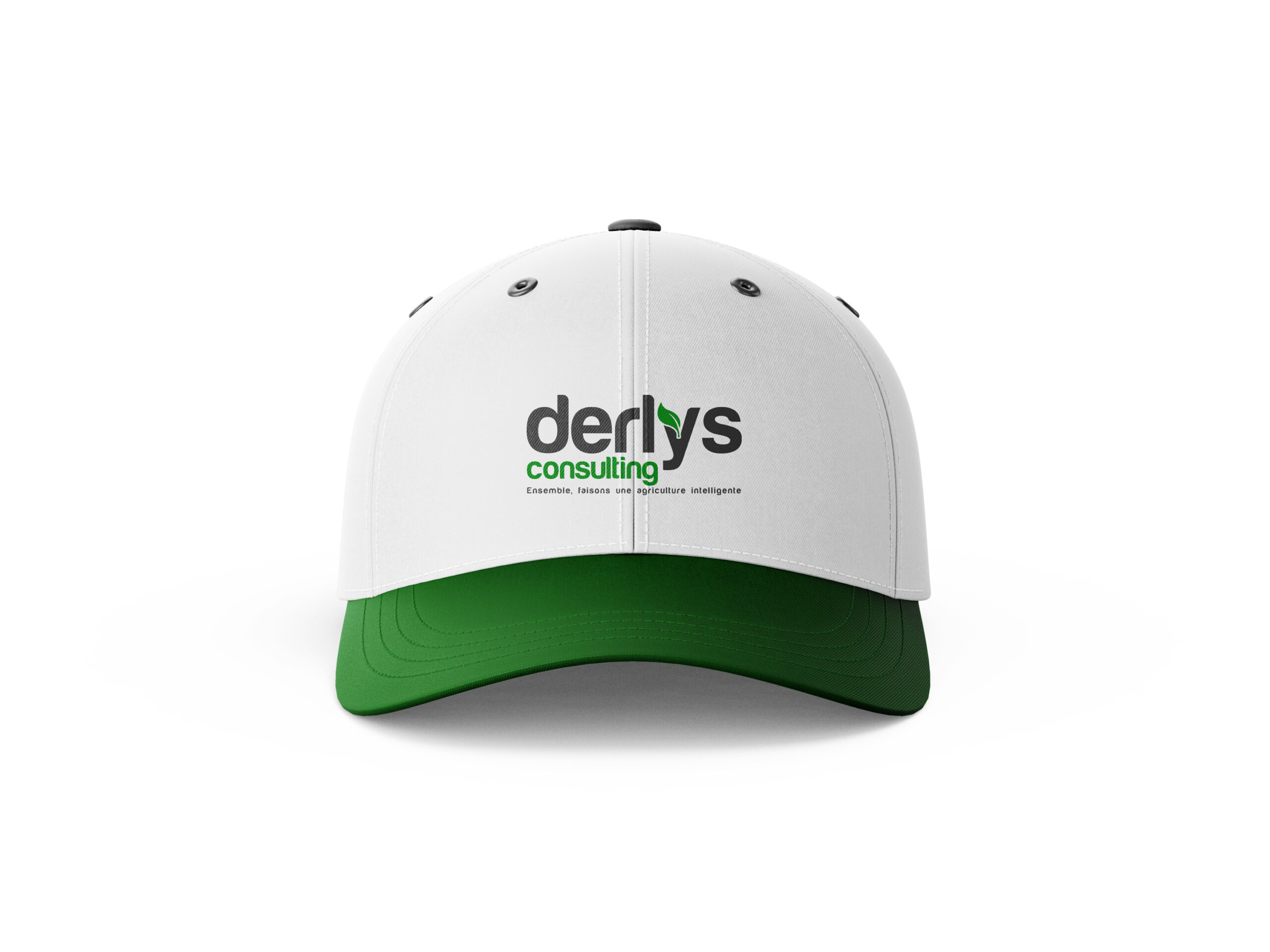 Derlys Consulting