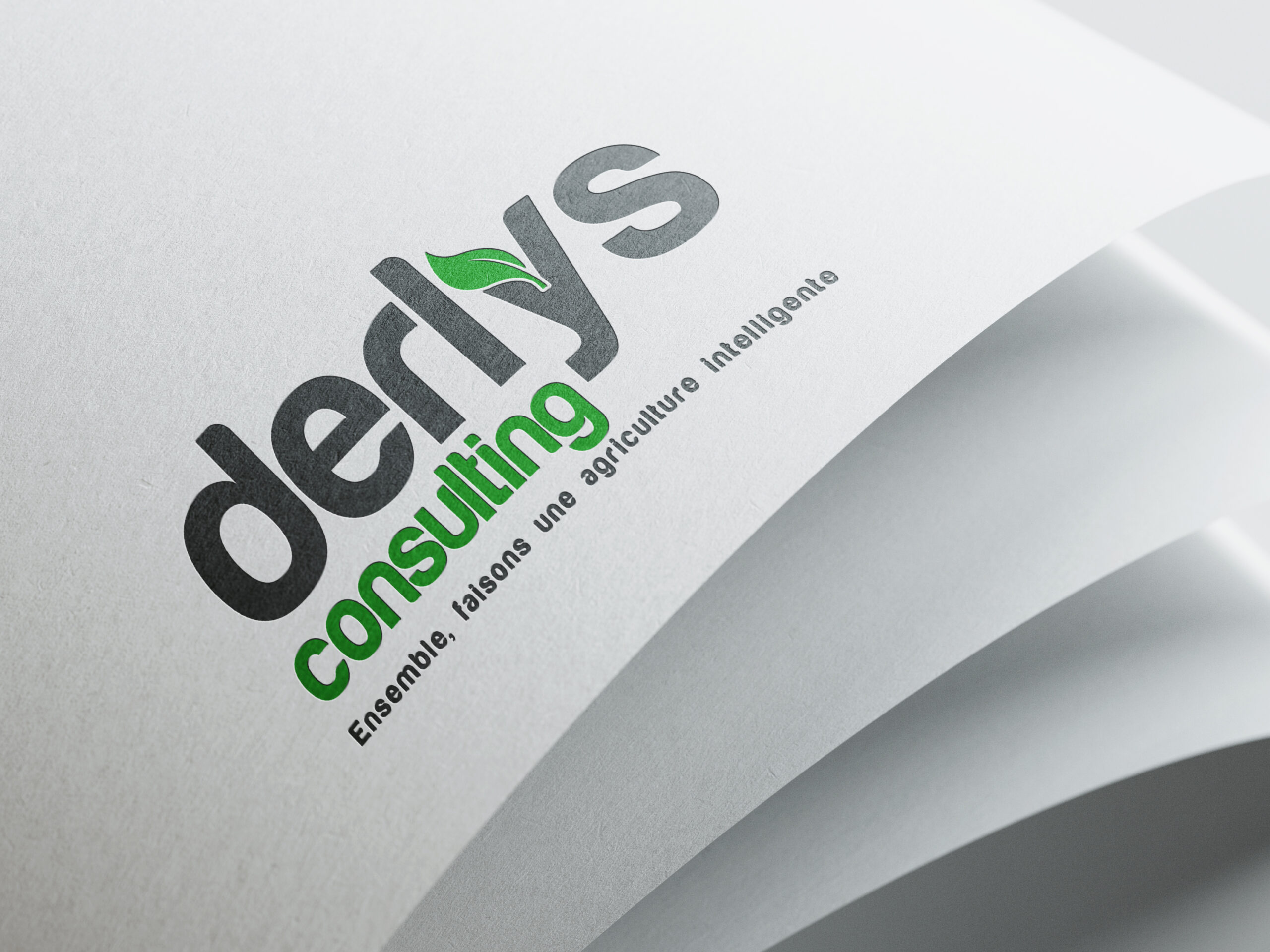 Derlys Consulting
