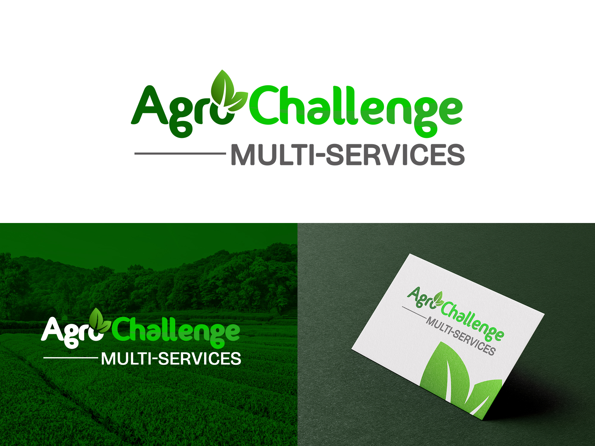 Agro Challenge Multi Services