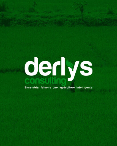 Derlys 6
