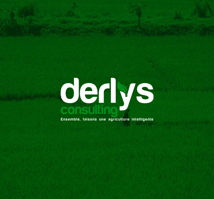 Derlys 6