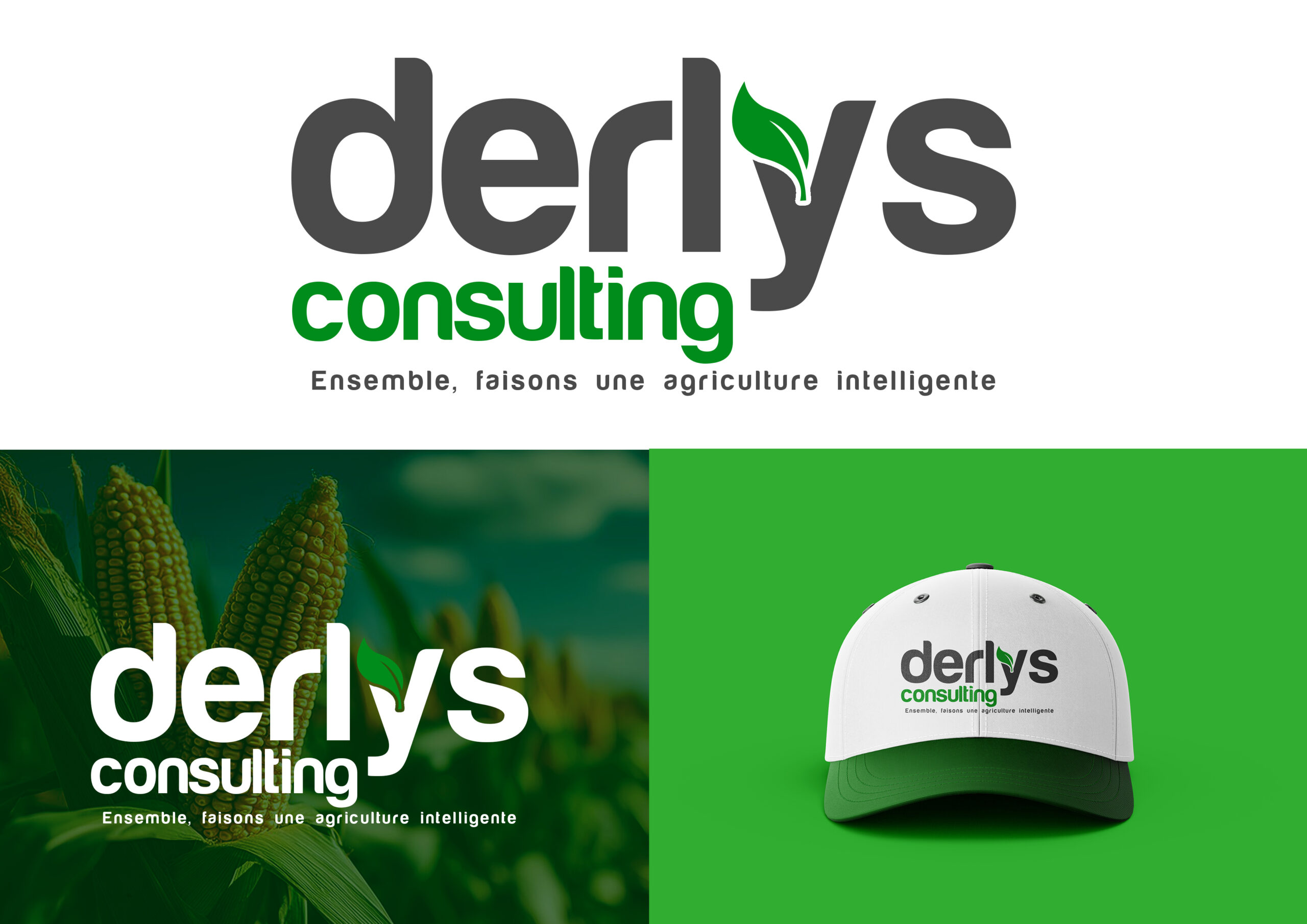 Derlys Consulting